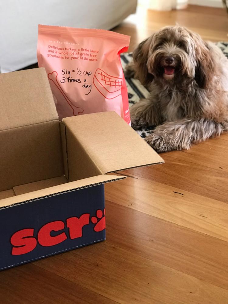 Grain-Free Mixed Box 8kg - Customer Photo From Penelope Boot