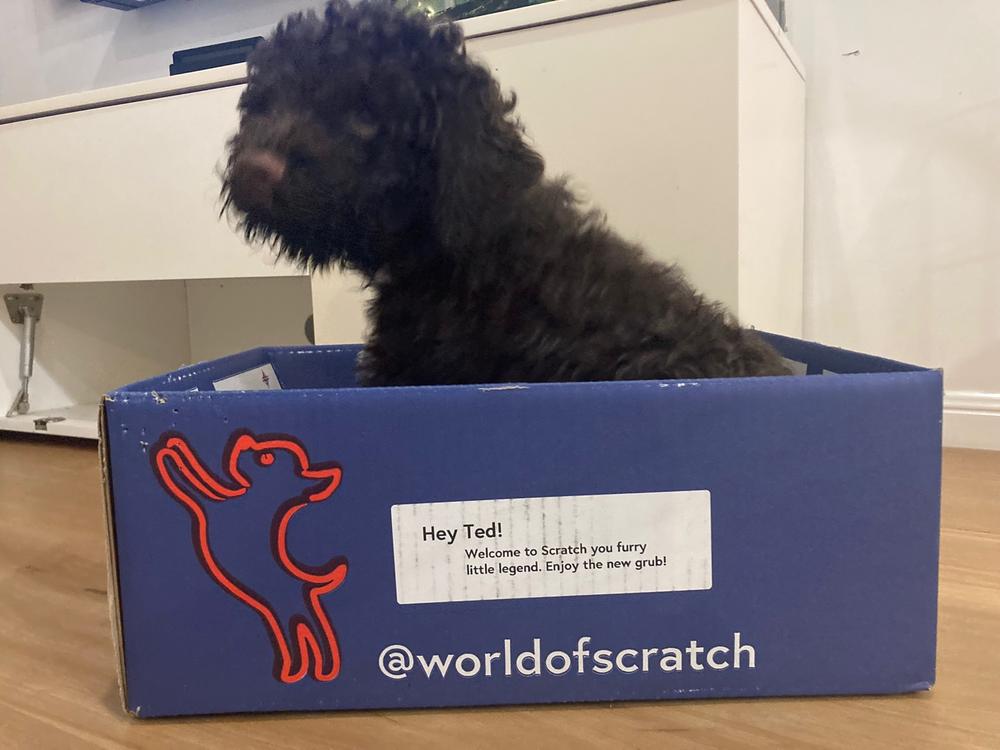 Grain-Free Mixed Box 8kg - Customer Photo From Rebecca Rowe