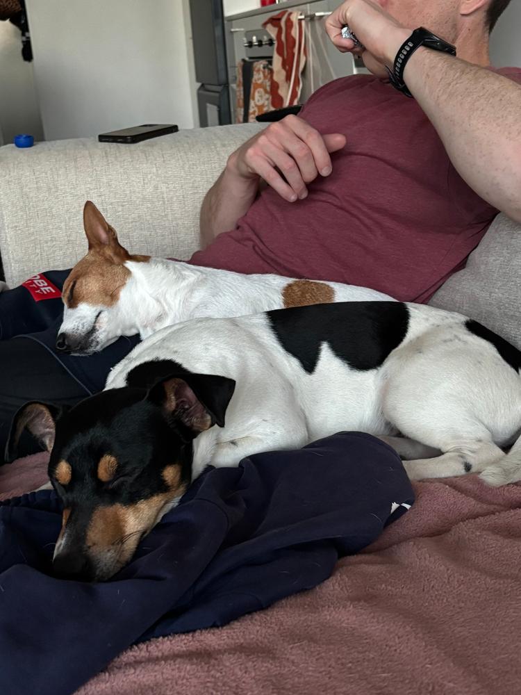 Grain-Free Mixed Box 8kg - Customer Photo From Erin