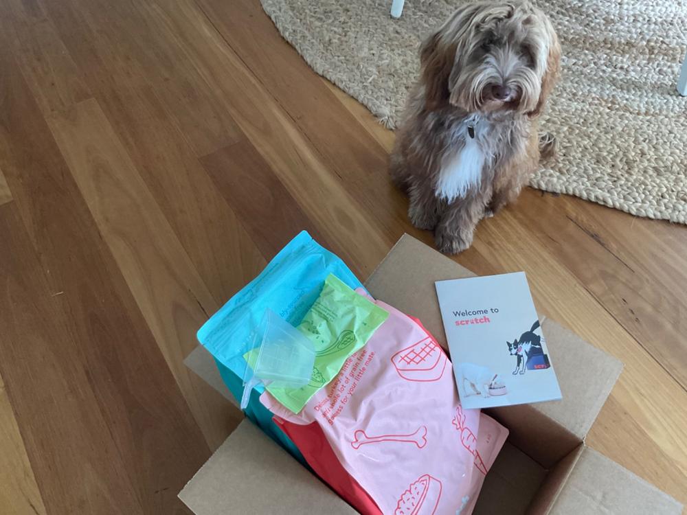 Grain-Free Mixed Box 8kg - Customer Photo From Penelope Boot