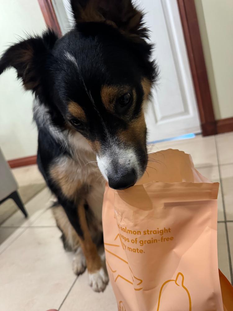 Grain-Free Mixed Box 8kg - Customer Photo From Bridget
