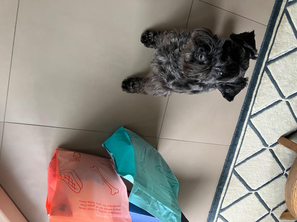 Grain-Free Mixed Box 8kg - Customer Photo From joanna rigg