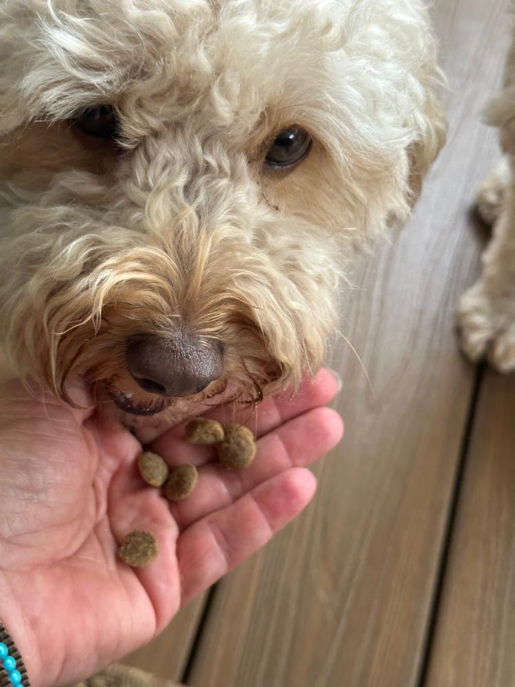 Grain-Free Mixed Box 8kg - Customer Photo From effy