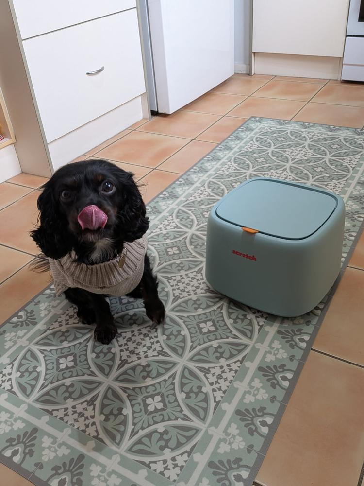 Kangaroo 8kg - Customer Photo From Selina & Lenny 🐾 