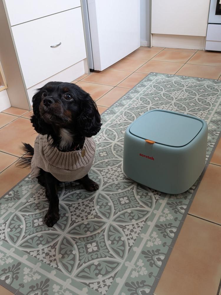 Kangaroo 8kg - Customer Photo From Selina & Lenny 🐾 