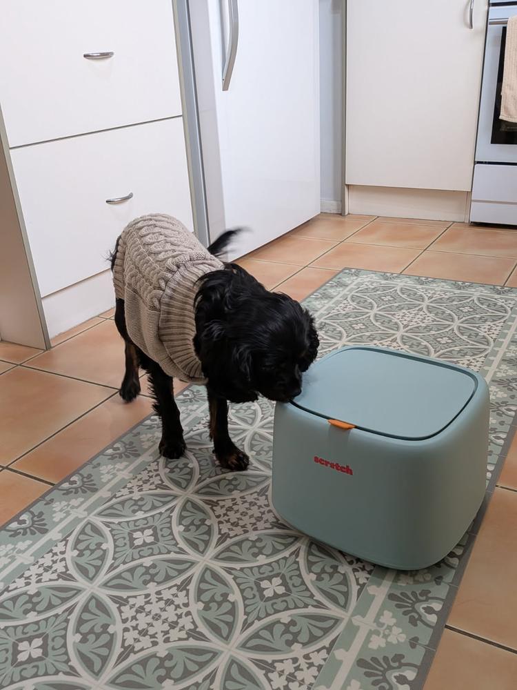 Kangaroo 8kg - Customer Photo From Selina & Lenny 🐾 