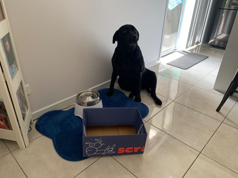 Kangaroo 8kg - Customer Photo From Yvonne Lenkic