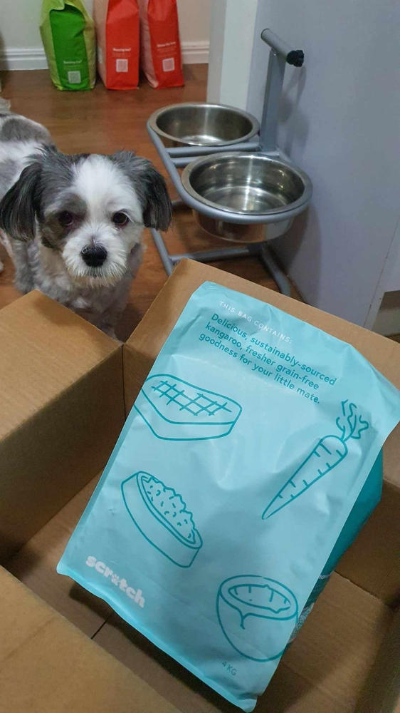 Kangaroo 8kg - Customer Photo From Kylie Brunton