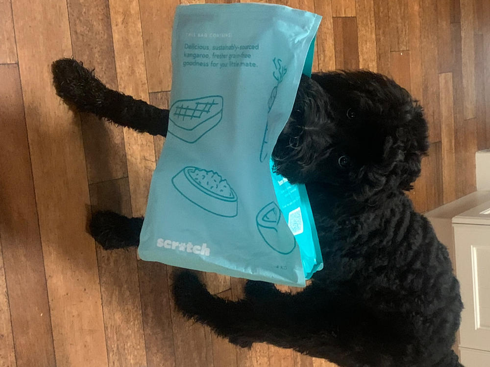 Kangaroo 8kg - Customer Photo From Elizabeth Farrell