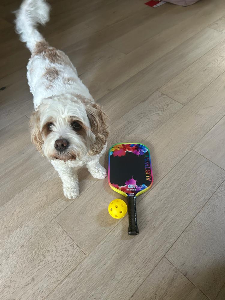 Kangaroo 8kg - Customer Photo From Nilufer