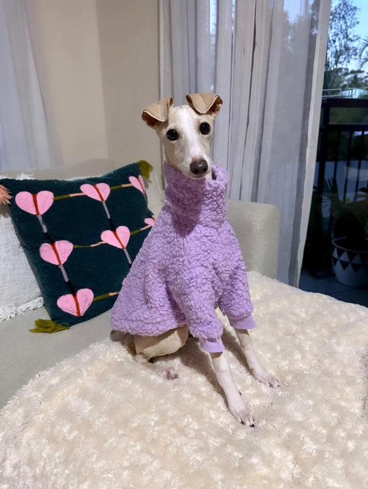 Kangaroo Dog Food SingleProtein Dog Food by Scratch