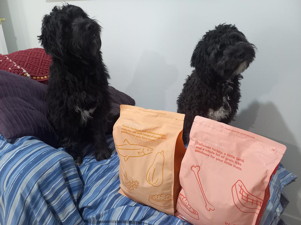 Turkey & Beef 8kg - Customer Photo From Tanya