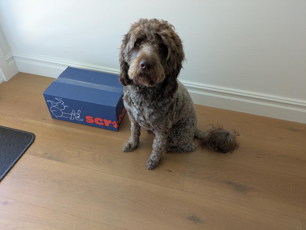 Turkey & Beef 8kg - Customer Photo From Sam