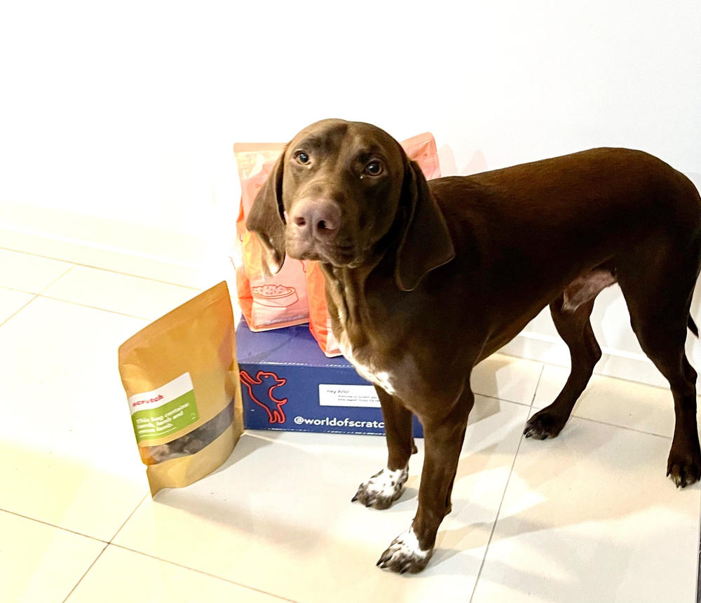 Turkey, Lamb and Beef Australian kibble, direct from Scratch