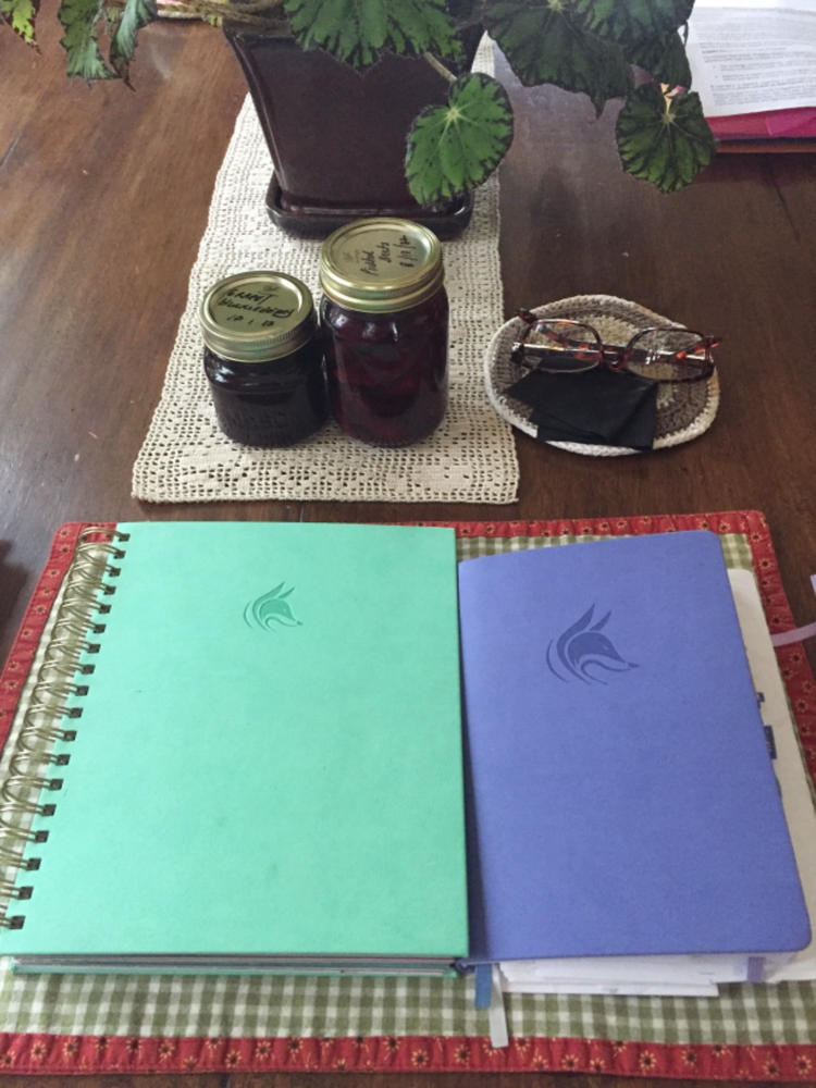 Budget Planner - Set Financial Goals & Manage your Money - Customer Photo From Laureen McCarthy