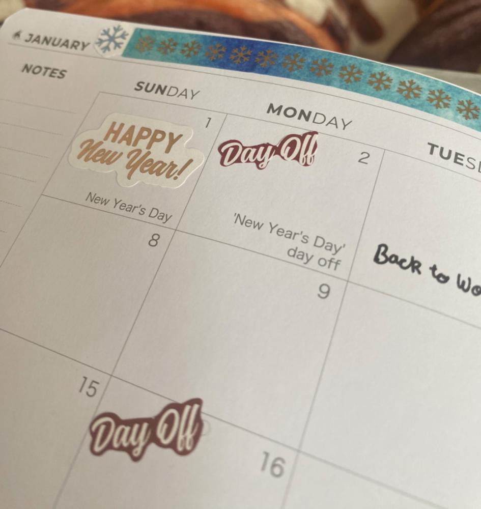 Premium Weekly Planner - Beat Procrastination & Boost Productivity - Customer Photo From Theresa Venticinque
