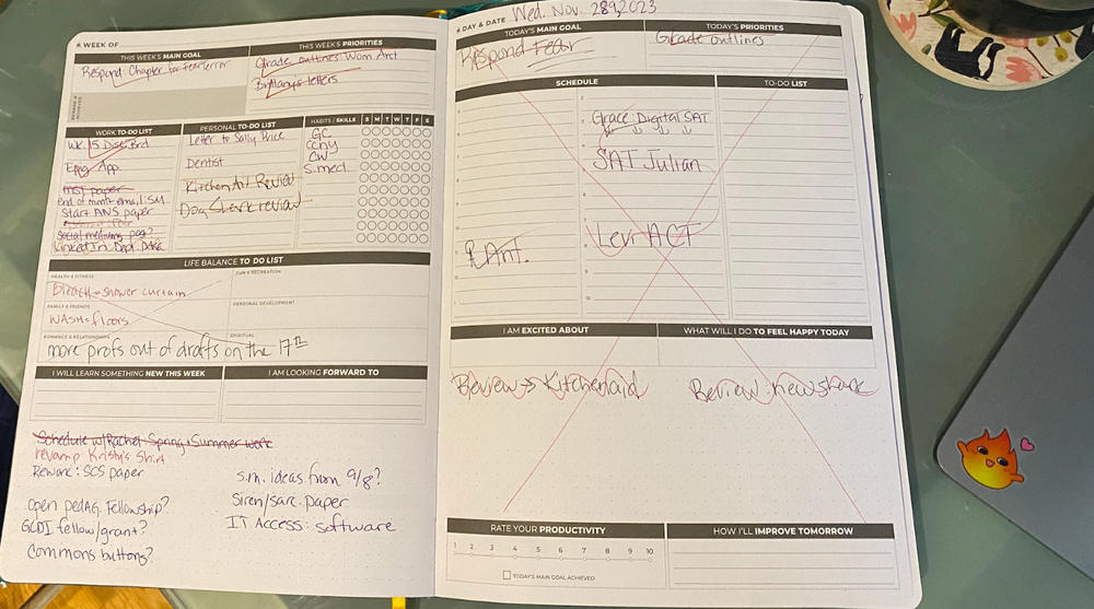Planner Daily PRO - lasts 3 months - Customer Photo From Patricia Hatcher