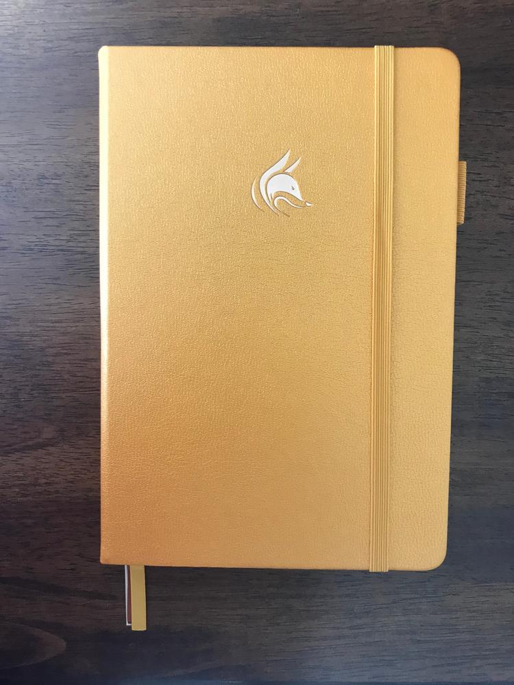 Clever Fox Budget Planner Premium Edition - Financial Planner - Customer Photo From Tiffany D.