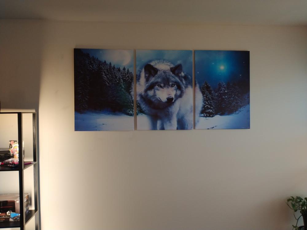 3-Piece Prowling Night Snow Wolf Canvas Wall Art - Customer Photo From Gerald Murray