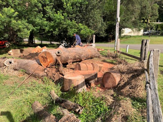 Stihl MS 362C-M Petrol Chainsaw (50cm/20") - Customer Photo From Ian