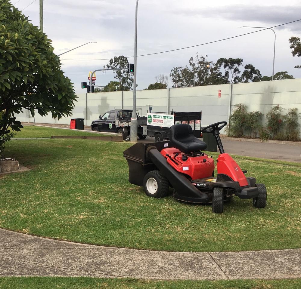 Rover Mini Rider 382/30 Ride-On Lawn Mower - Customer Photo From Maurice B.