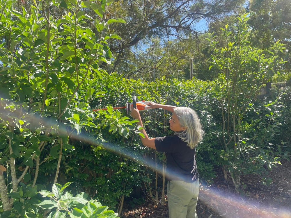 Stihl HSA 45 Battery Hedge Trimmer - Customer Photo From Gauri Maini
