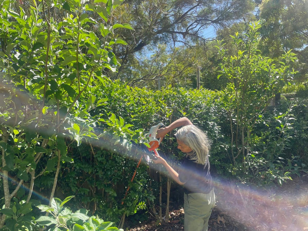 Stihl HSA 45 Battery Hedge Trimmer - Customer Photo From Gauri Maini