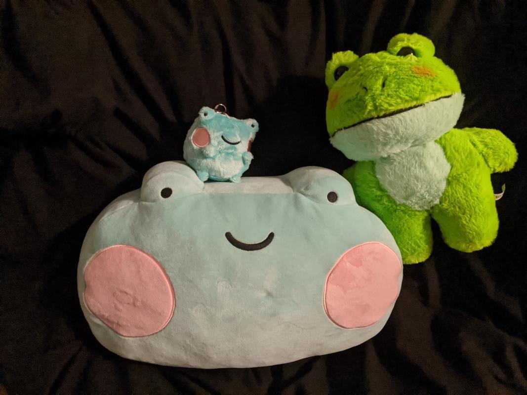 frog cushion cover