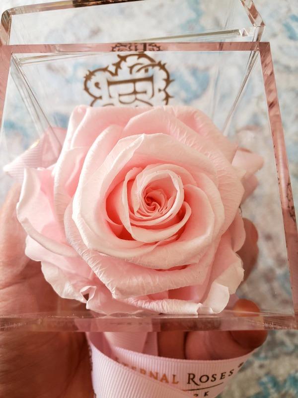 Madison Mini Roses Gift Box - Customer Photo From Ashley
