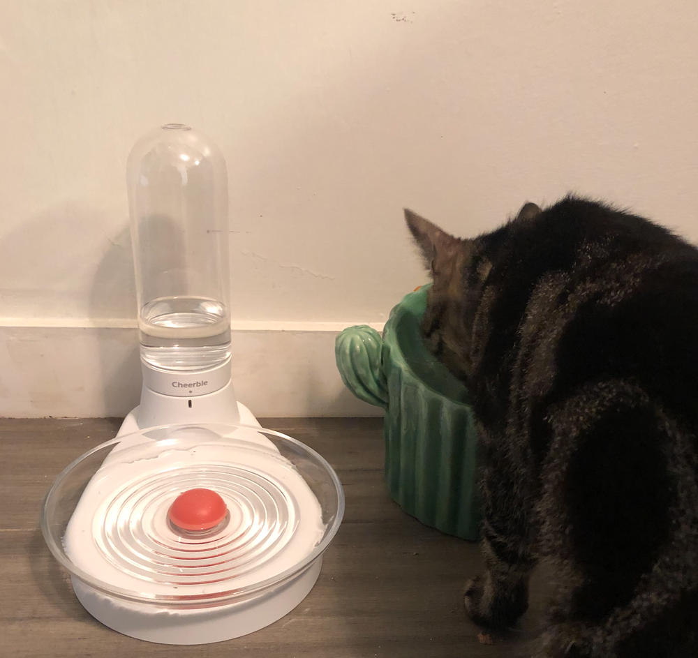 Cat water outlet fountain non electric