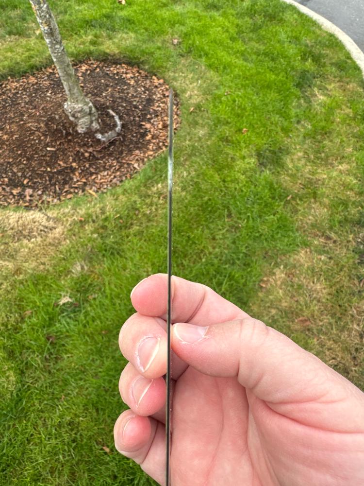 NanoArmour ONETIME MAX Blue Light ClearVue 3D Infinity Edge – iPhone 15 Series - Customer Photo From Celeste