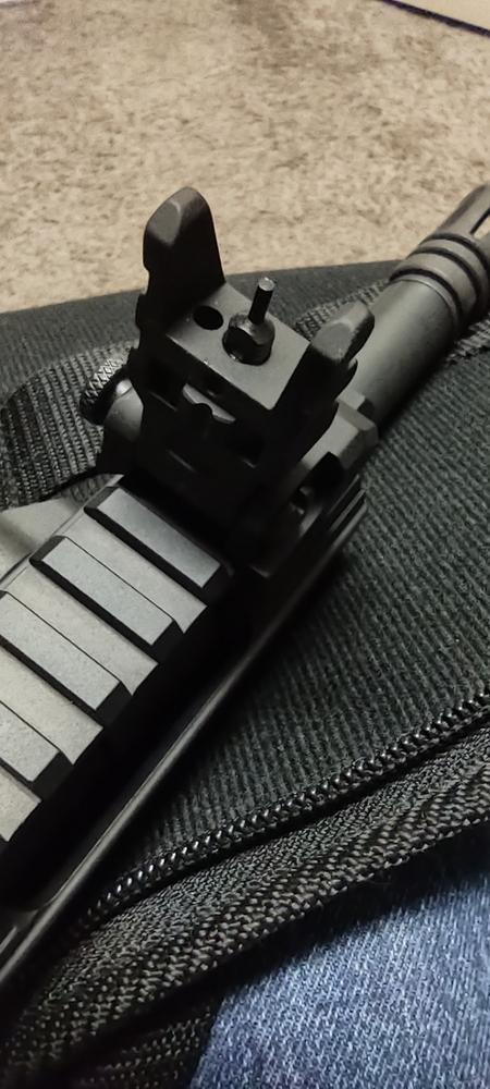 Trinity Force Aluminum Flip-Up Sight Set - Customer Photo From Michael Fly