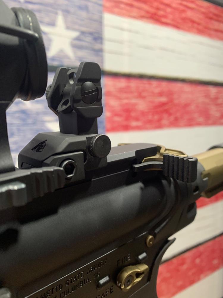 Trinity Force Aluminum Flip-Up Sight Set - Customer Photo From Aaron Wotman