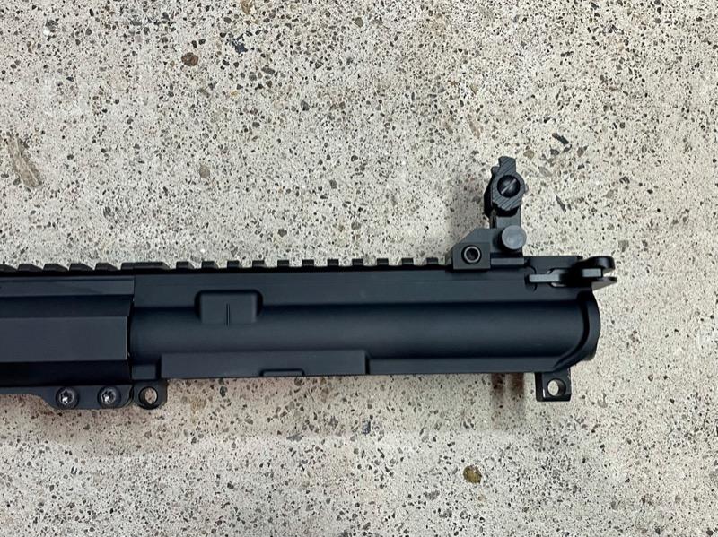 Trinity Force AR-15 Polymer Flip-Up Sight Set - Customer Photo From Brendon Nelson