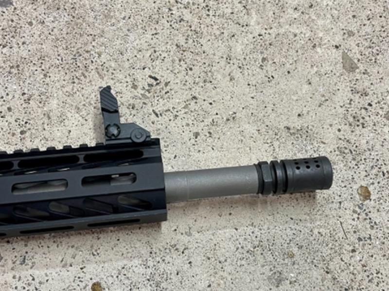 Trinity Force AR-15 Polymer Flip-Up Sight Set - Customer Photo From Brendon Nelson