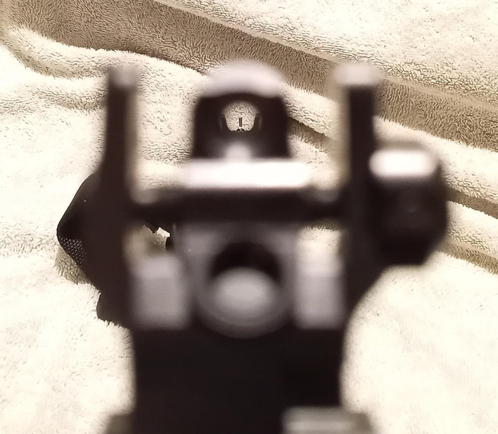 Wilson Combat AR-15 Rail Mount Back-Up Sight Set - Customer Photo From Stephen Booth