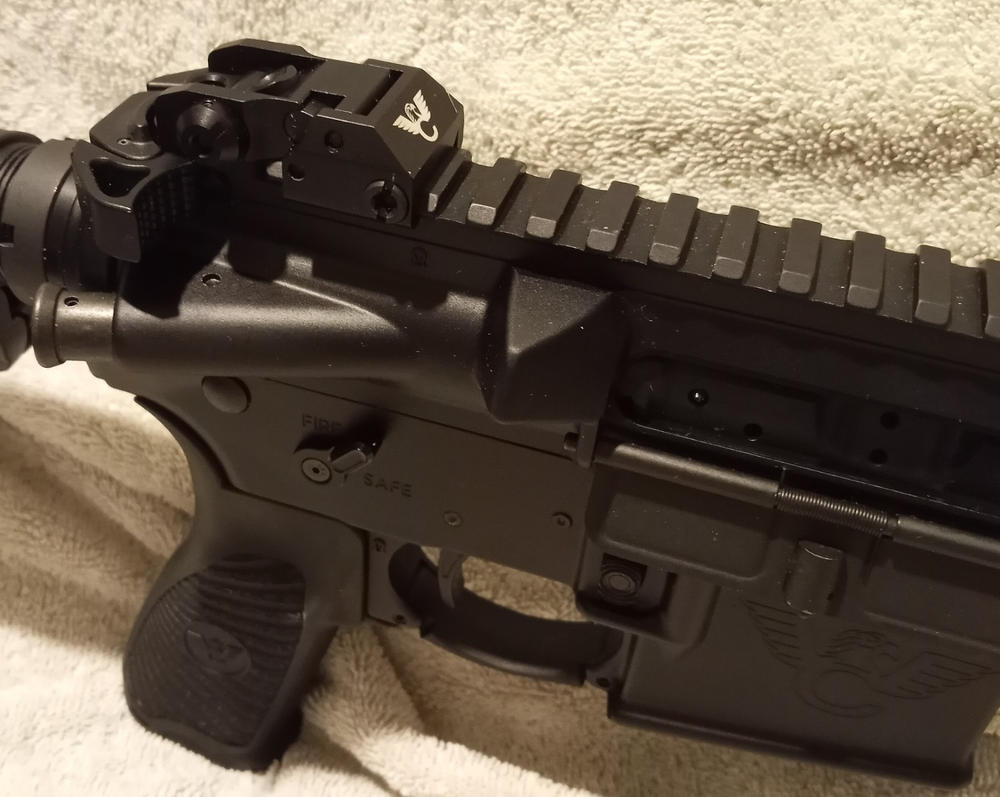 Wilson Combat AR-15 Rail Mount Back-Up Sight Set - Customer Photo From Stephen Booth