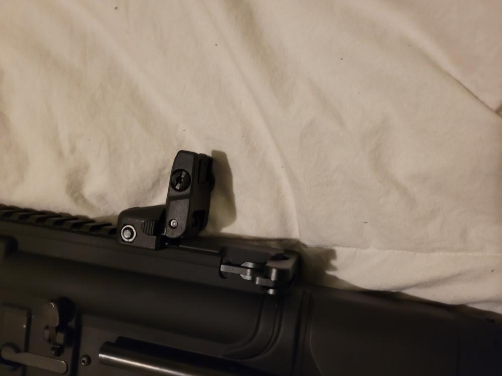 Ruger Rapid Deploy Polymer Folding Rear Sight - Black - Customer Photo From Bart Mitchell