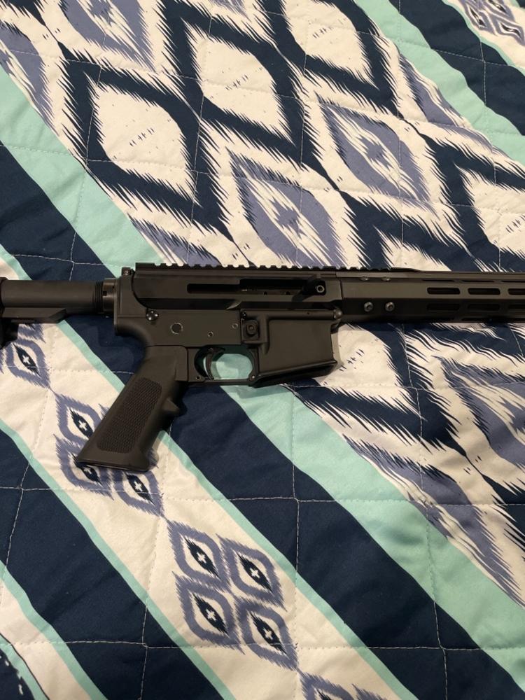 Omega AR-15 Lower Build Kit - Customer Photo From randy talada