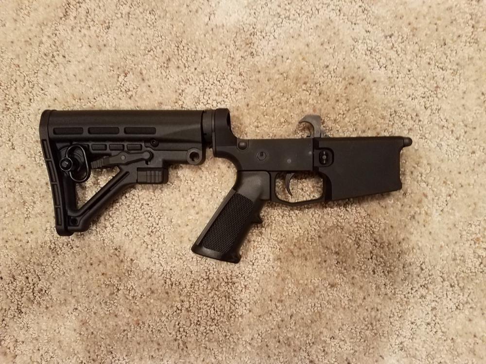 Omega AR-15 Lower Build Kit - Customer Photo From David Bosch