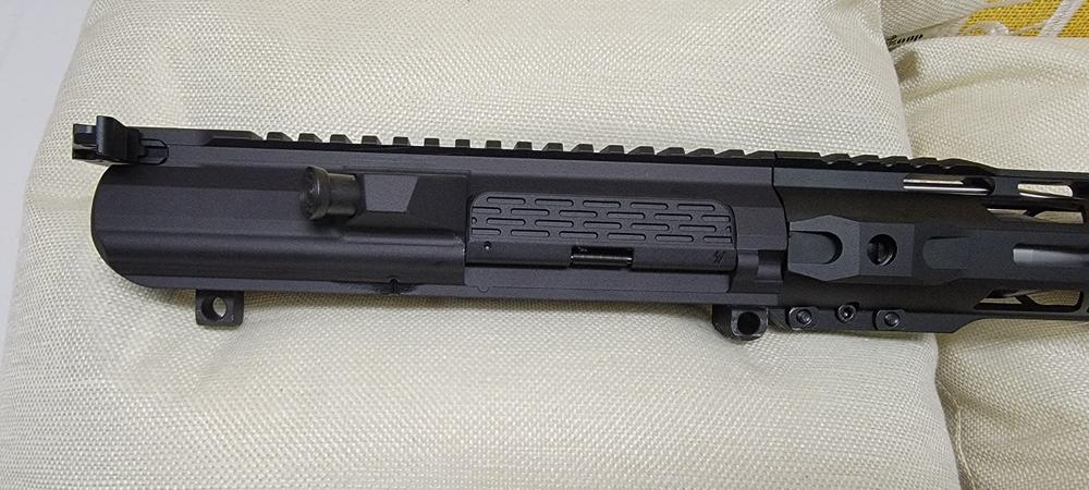 Strike Industries AR Ultimate Dust Cover for 308 Capsule - Black - Customer Photo From Eloyd long