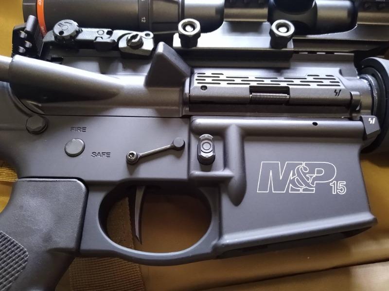 Strike Industries Ultra Light Pivot / Takedown Pins - Black - Customer Photo From Jeff Vittori