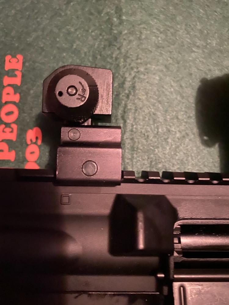 Presma AR-15 Aluminum Flip-Up Sight Set - Low Profile - Customer Photo From Kevin Taylor