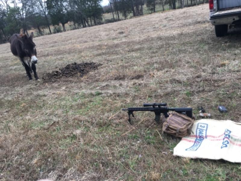 UTG Tactical OP Bipod, QD Lever Mount - 8.0-12.4" - Customer Photo From Jason Mouser