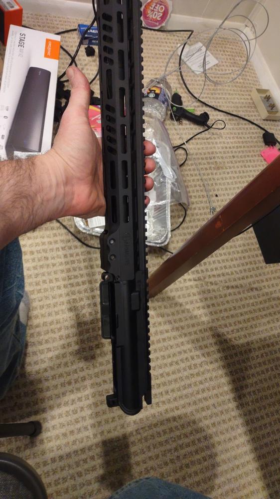 Armalite AR-15 M15 TAC M-LOK Free-Float Handguard - 15" - Customer Photo From David Iannelli