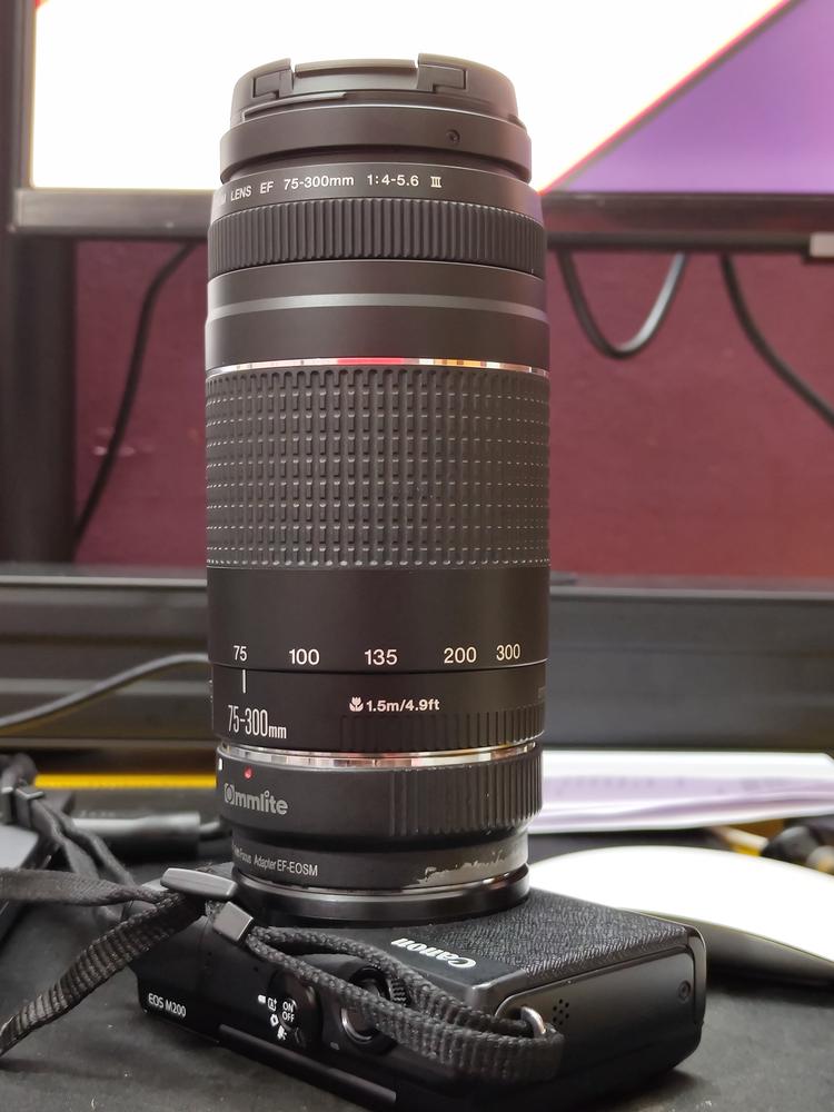 Buy Canon EF 75-300mm f/4-5.6 III Lens at Lowest Price in India