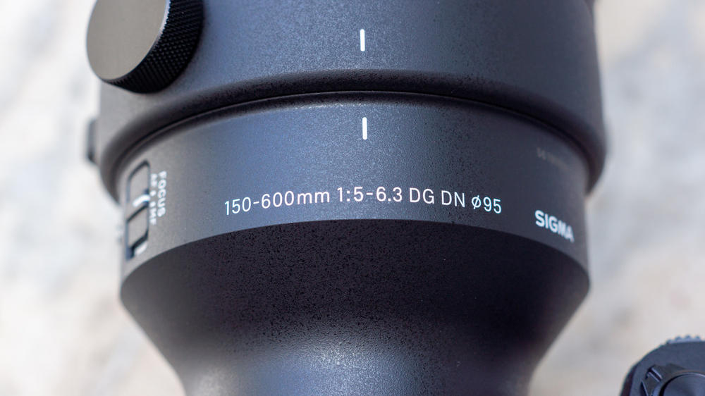 Buy Sigma 150-600mm f/5-6.3 DG DN OS Sports Lens for Sony E at