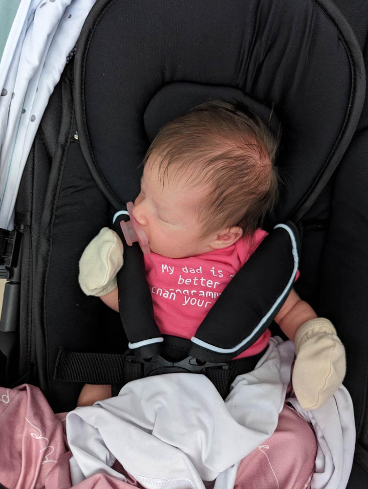 Infant Seat Insert Mockingbird