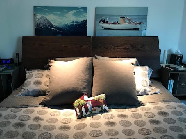 Orkney Linen Sham - Customer Photo From Shirley S.