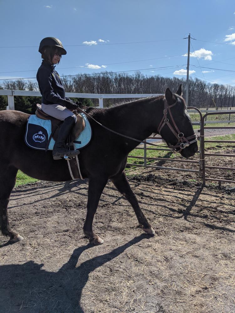 Equine Couture Beatta All Purpose Saddle Pad - Customer Photo From Alison Rogers